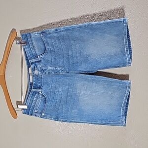 Soft Surroundings Blue Stretchy Shorts